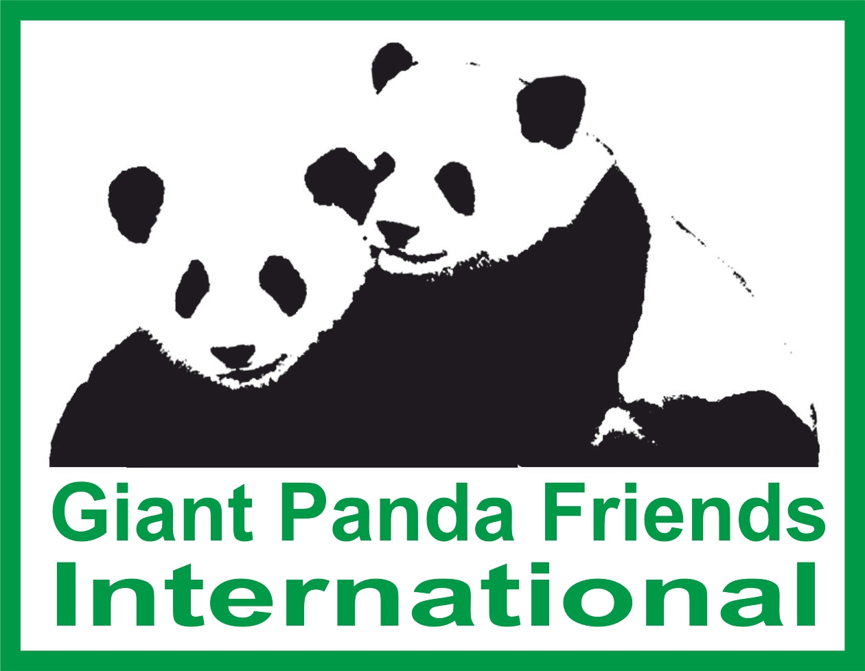 Giant Panda Friends International
